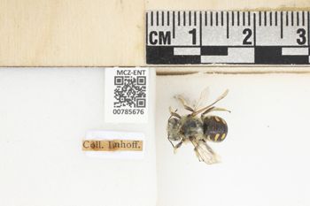 Media type: image;   Entomology 785676 Aspect: Labels